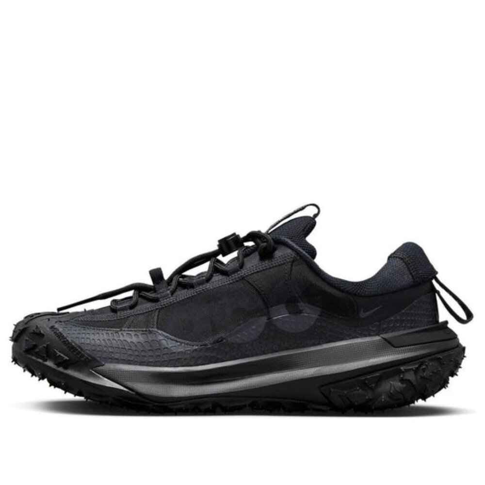 Nike ACG Mountain fly 2 low